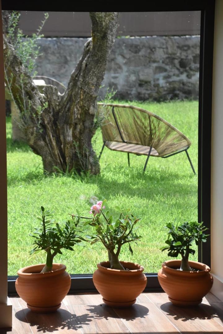 Alminhas Da Mindua - Unique Experiences By Luxistay Vitorino dos Piães Extérieur photo